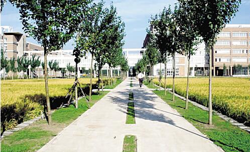 南充廣播電視大學(xué)南部縣分?！鸽姶蟆?></a></div>
          <dl>
              <dt><a href=