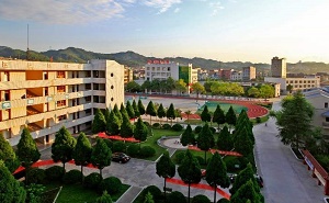 上海市高境第一中學(xué)