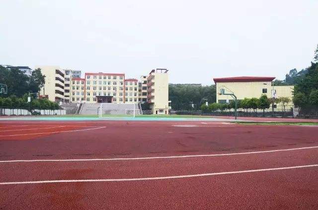 1587179867529721.jpg 2.jpg