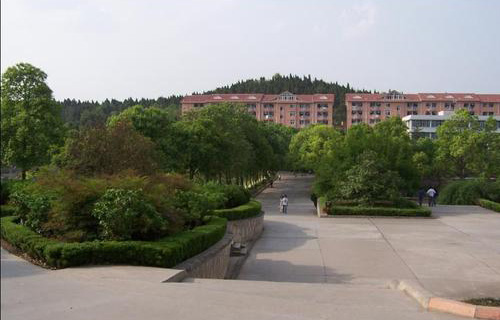 1599880098497017.jpg u=2027884474,720705801&fm=26&gp=0.jpg
