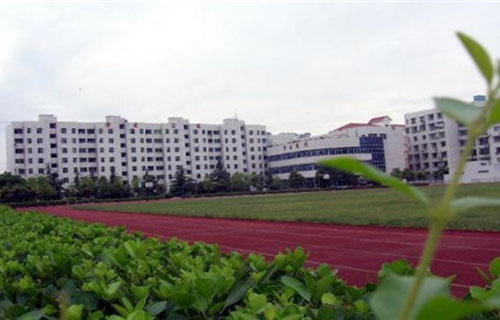 1600832543571419.jpg 1_副本8.jpg