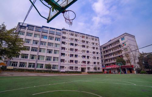 1616391895116573.jpg u=1314628115,334240853&fm=26&gp=0 - 副本 - 副本.jpg