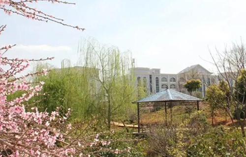 曲靖應(yīng)用技術(shù)學(xué)校2021年學(xué)費(fèi) 曲靖應(yīng)用技術(shù)學(xué)校2021年學(xué)費(fèi)