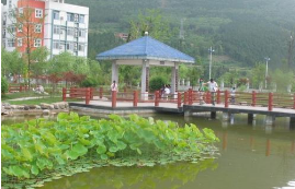 武都縣衛(wèi)生職業(yè)技術(shù)學(xué)校 武都縣衛(wèi)生職業(yè)技術(shù)學(xué)校