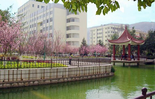 云南科技信息職業(yè)學院2021年招生條件 云南科技信息職業(yè)學院2021年招生條件