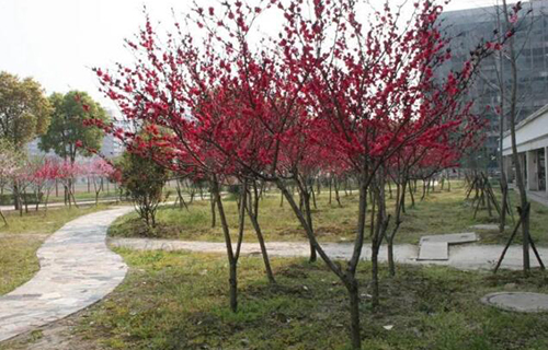 1629873470141777.jpg QQ截圖20210703171906.jpg