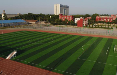 1630571808504679.jpg 5 (1).jpg