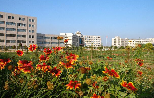 1631066056675962.jpg 1.jpg