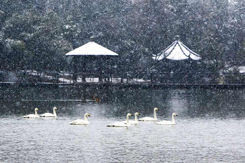 雪映百草原--祁翔 13906821500.jpg